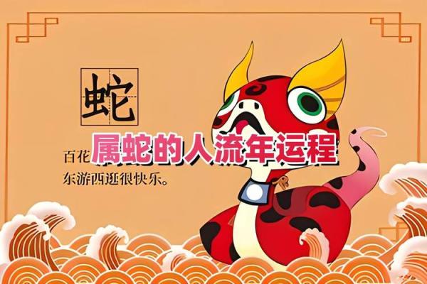 细看蛇人各月运势变化与建议
