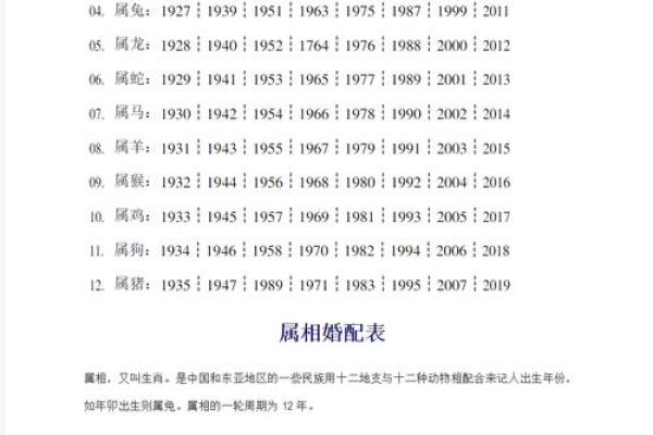 属虎还是属兔？带你了解生肖与年份的关系