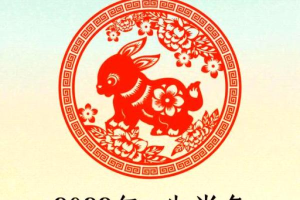 属兔人运势全面预测