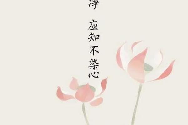 崔姓五行解析:揭开命理中的秘密与运势变化 崔姓五行解析:揭开命理中的秘密与运势变化