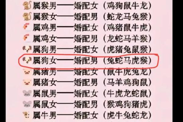 男马女马婚姻是否注定相配？生肖匹配对婚姻的影响分析