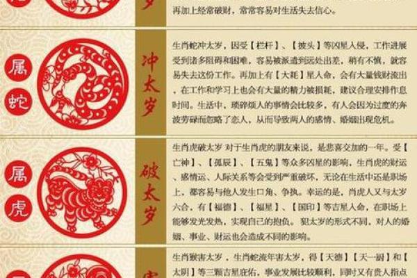 出生的人属于什么生肖和命运解析