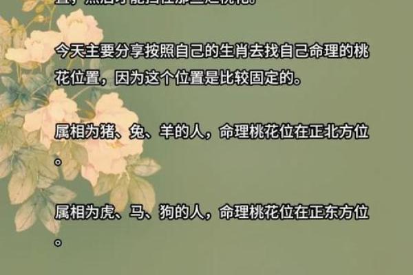 男命双桃花能否带来长久的幸福
