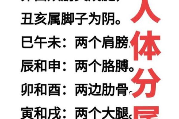 八字缺金如何化解？专家教你提升运势的秘诀
