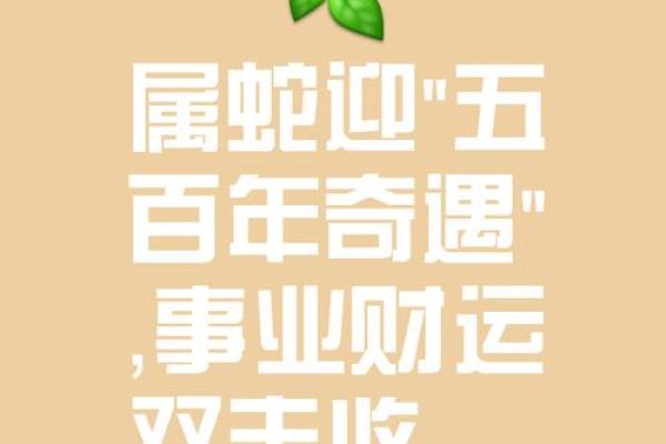 本命年蛇女如何找到事业新机遇