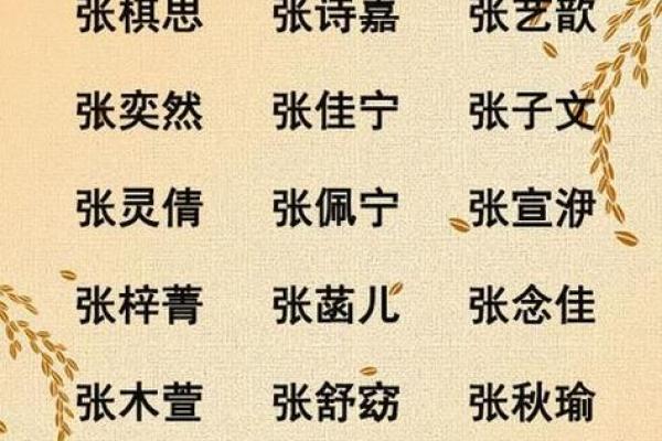 张姓女孩名字大全:传承与个性的完美结合 张姓女孩名字大全:传承与个性的完美结合