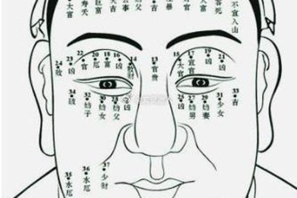 从脸型看出男性的富贵命运
