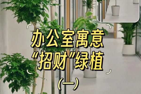 打造招财办公环境的风水布置秘诀