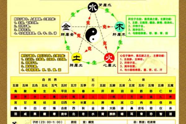 春天的五行属性是什么？揭开春季与五行的神秘联系