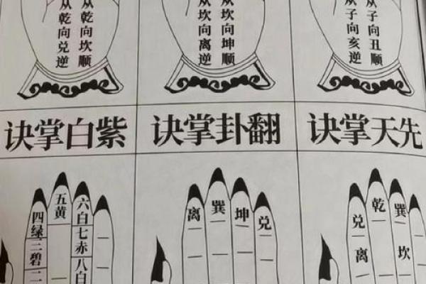 残字五行解析：揭开命运背后的奥秘