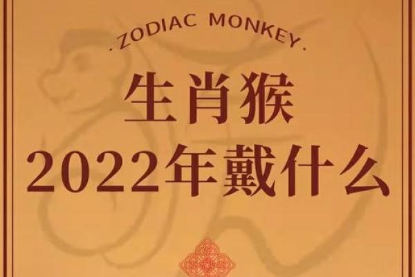 属猴人本命年如何提升社交能力