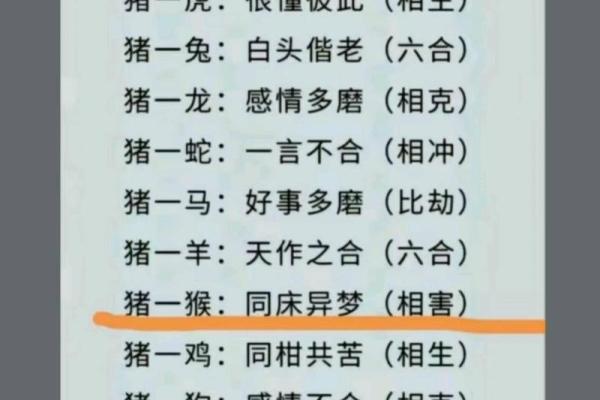 属兔与属马的关系如何？命理中的配对优势