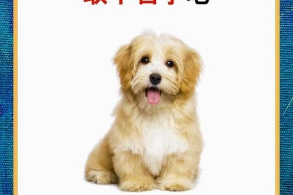 霸气十足的狗狗名字推荐，助你为爱犬取个霸气称号