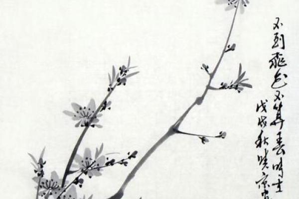 男命双桃花，情感生活的复杂与难题