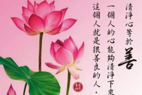八字禅语的智慧：让生活更平和的秘诀