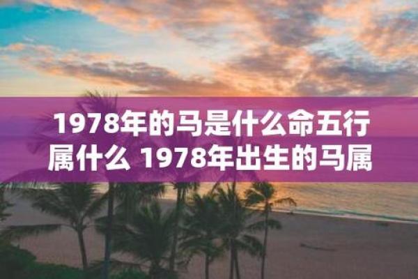 出生的马五行是什么？揭秘九零年马的命理特征