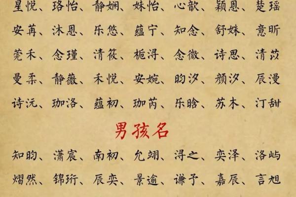 宝宝男孩起名宝典,精选字大全助你选个好名字 宝宝男孩起名宝典,精选字大全助你选个好名字