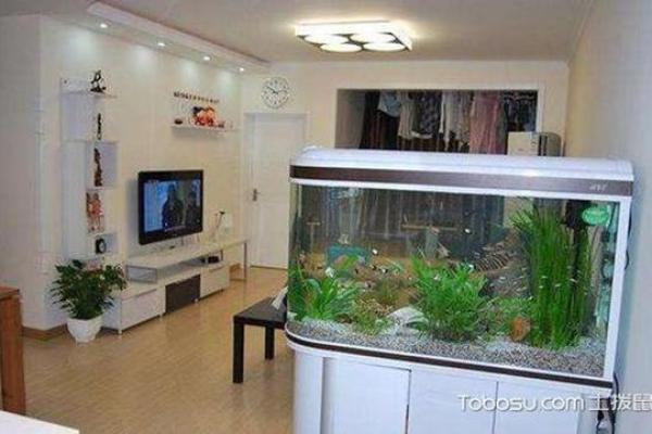 办公室放鱼缸风水如何布置提升运势