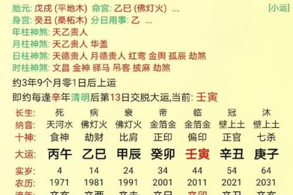 从八字看人生，生辰八字计算软件全解析！