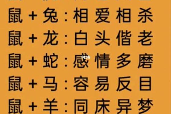 从性格到命运，探讨女鼠男虎的婚姻匹配度