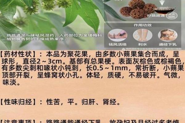 不同地区草的名字及其象征意义