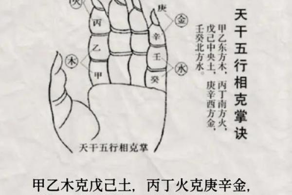 从零开始学算命生辰八字，掌握命理的关键技巧