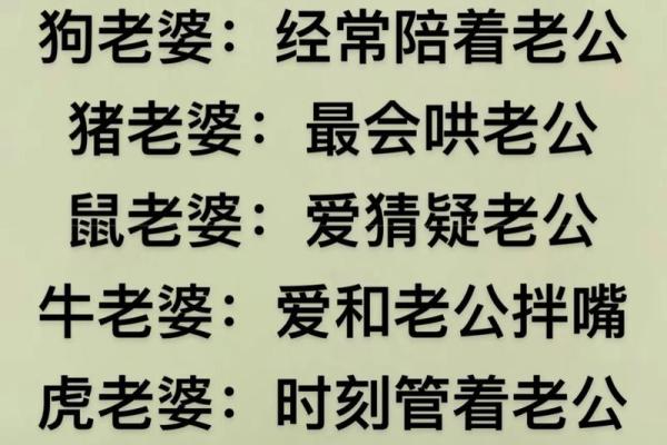 蛇鼠婚姻：能否突破性格差异走到一起