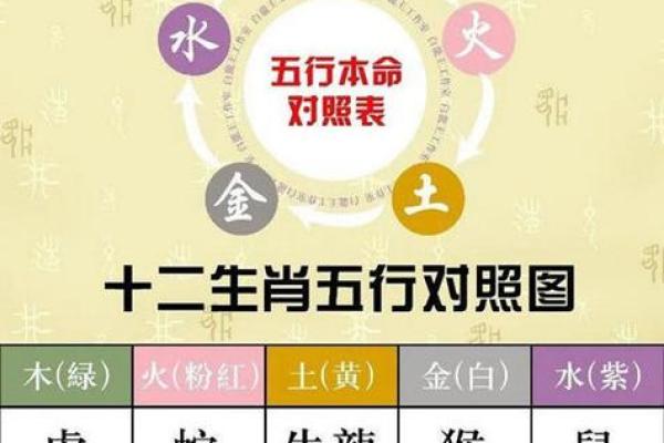 安然五行解析：发现你的幸运元素