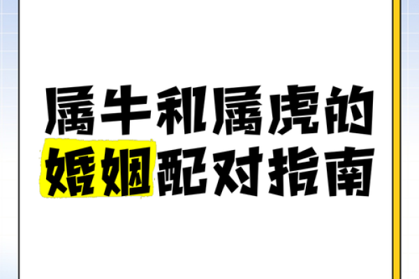 虎龙配对：天生的对立还是天作之合