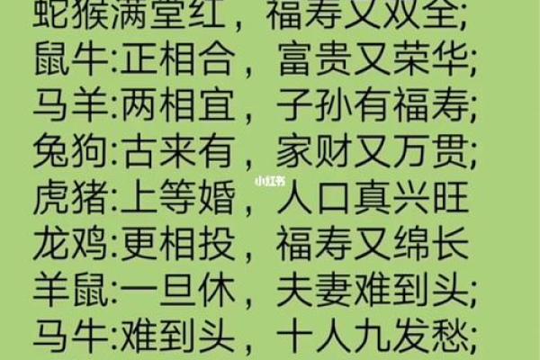 虎龙配对：天生的对立还是天作之合