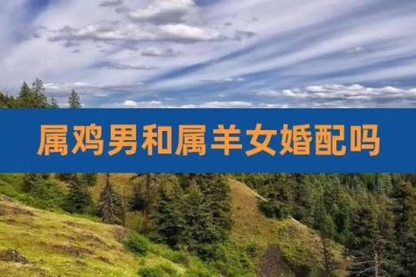 属鸡和属羊的相配程度分析