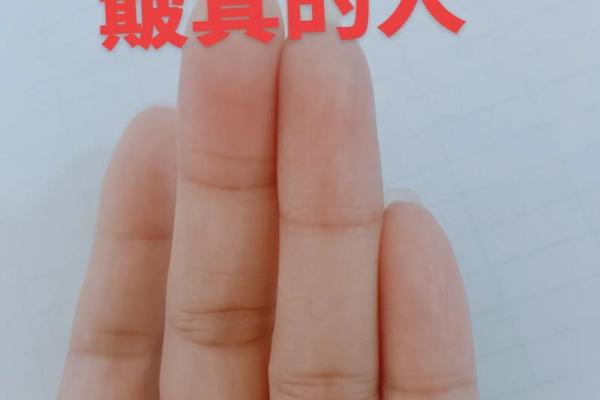 簸箕招财风水布局图解与运势提升技巧