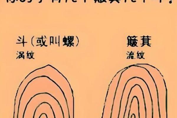 簸箕招财风水布局图解与运势提升技巧