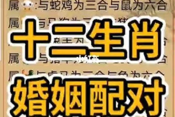 甲子姻缘解密：让婚姻走向更美好的道路