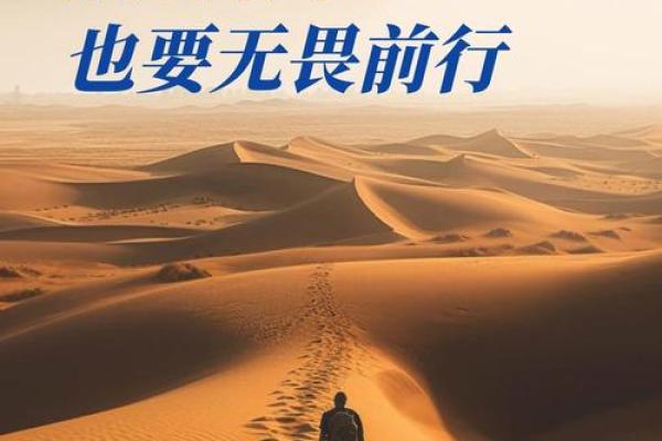 从多劳波涛之命看人生中的艰难挑战