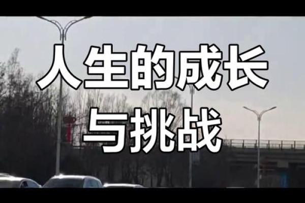 从多劳波涛之命看人生中的艰难挑战