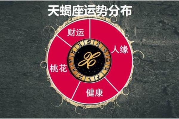 天蝎与马的星座运势分析：如何把握运气的黄金时机