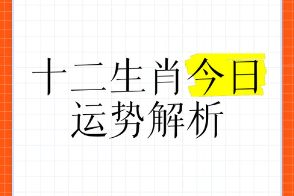 十二生肖运势详解：今年你的好运与挑战