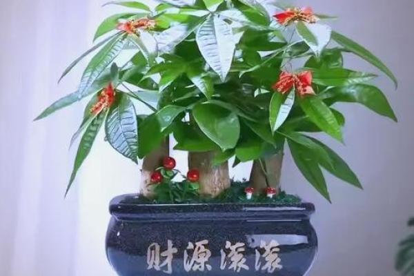 打造北方招财风水，助力事业成功