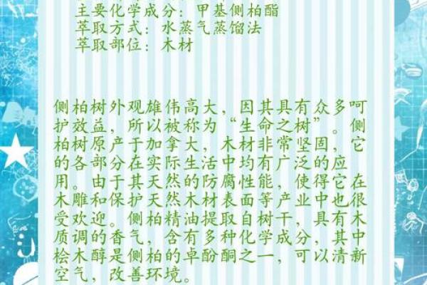 柏树的种植与养护技巧解析