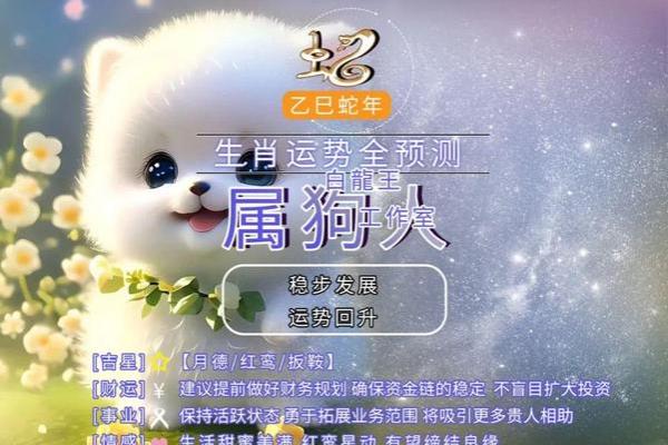 狗人每月运势解析：全年运程一览