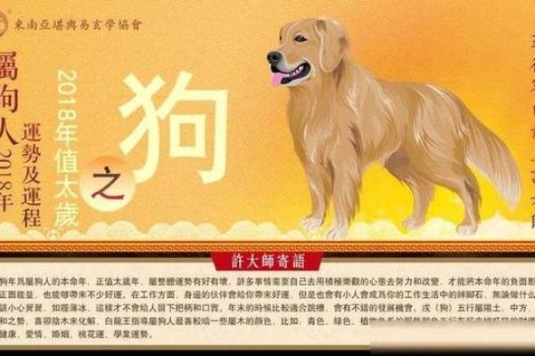 狗人每月运势解析：全年运程一览