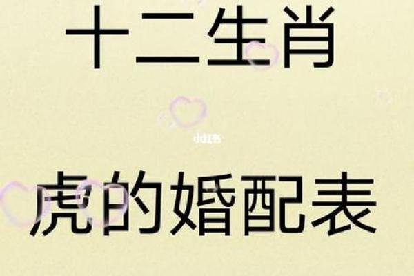 女牛和男虎在爱情中的兼容性