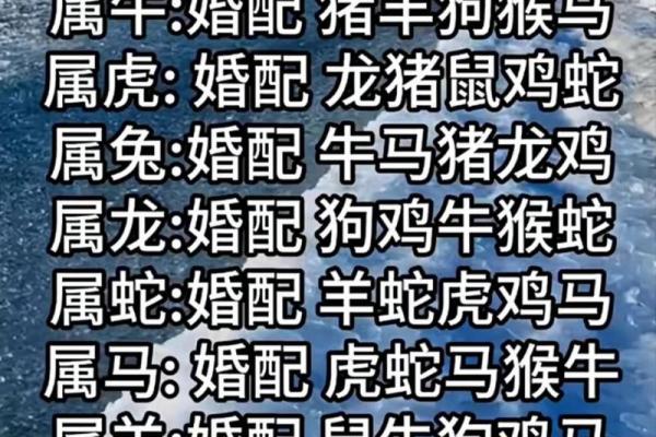属兔男和属鸡女的星座契合度分析