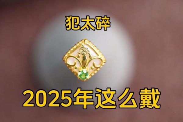 本命年蛇男的理财计划与财富管理