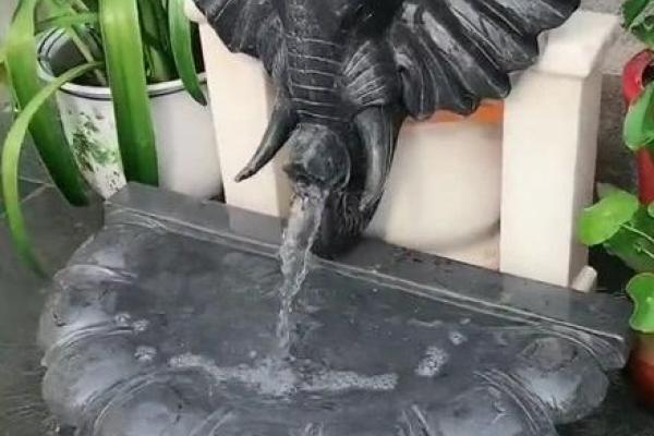 餐馆风水布局揭秘 如何通过摆放招财聚客