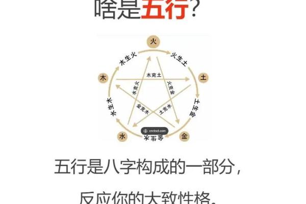 出生的人五行命理，如何找到最合适的生活方式