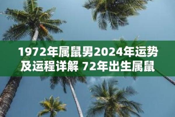 出生属鼠之人的命运解析