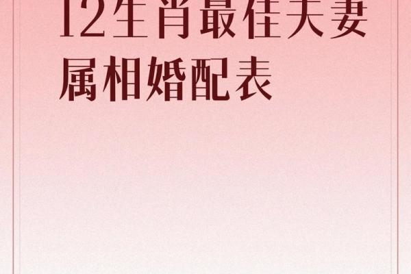 属相婚配大全解析精准建议助力婚姻幸福