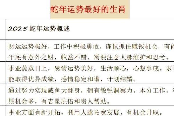蛇男在本命年中应该如何调整心态